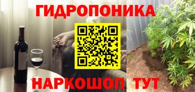 a pvp Кудымкар