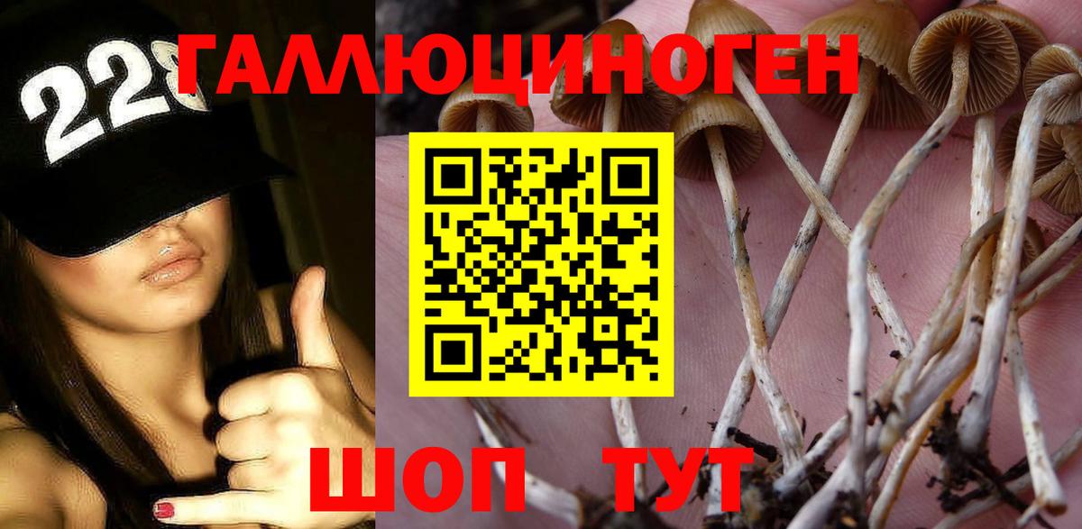 Галлюциногенные грибы мухоморы Вязники