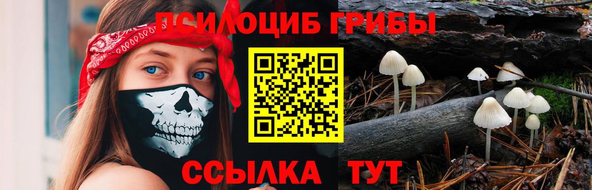 Галлюциногенные грибы прущие грибы  Псилоцибиновые грибы мицелий  Вход с VPN  Вязники 